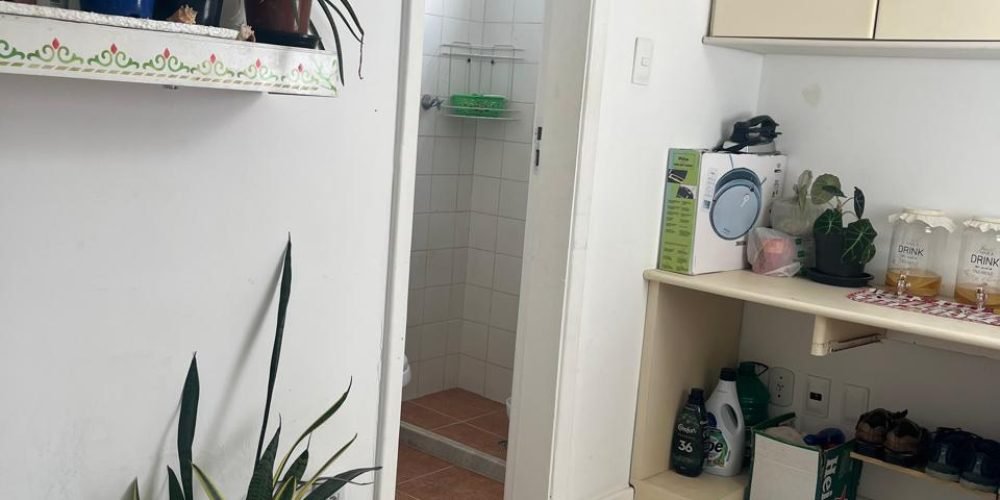 WhatsApp Image 2026-02-12 at 15.53.59