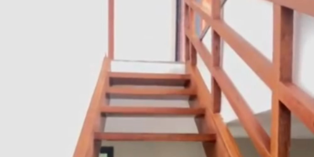 WhatsApp Image 2026-02-12 at 16.06.30 (5)