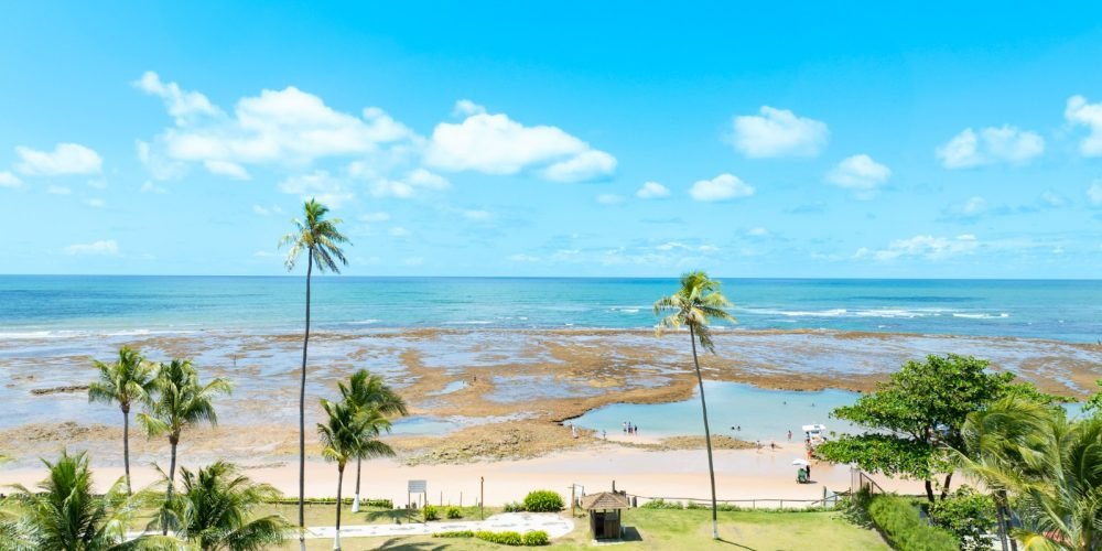 WhatsApp Image 2026-02-19 at 17.42.15 (2)