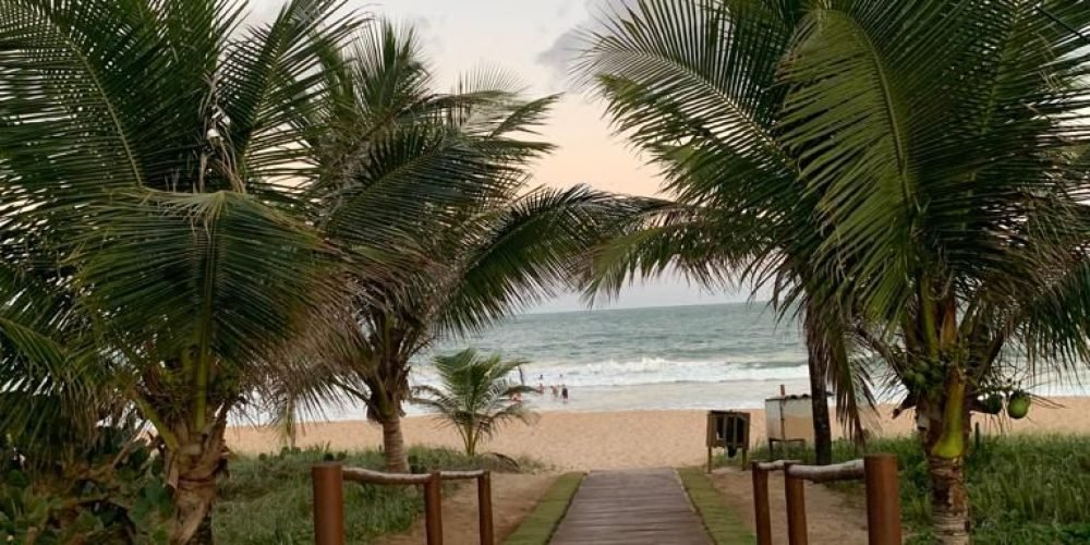 WhatsApp Image 2026-02-19 at 17.46.21 (3)