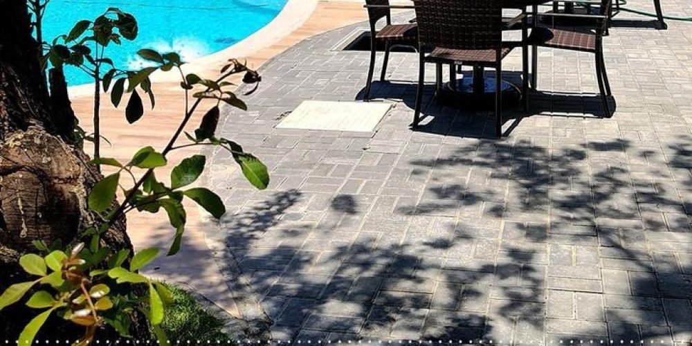 WhatsApp Image 2026-02-19 at 17.59.39