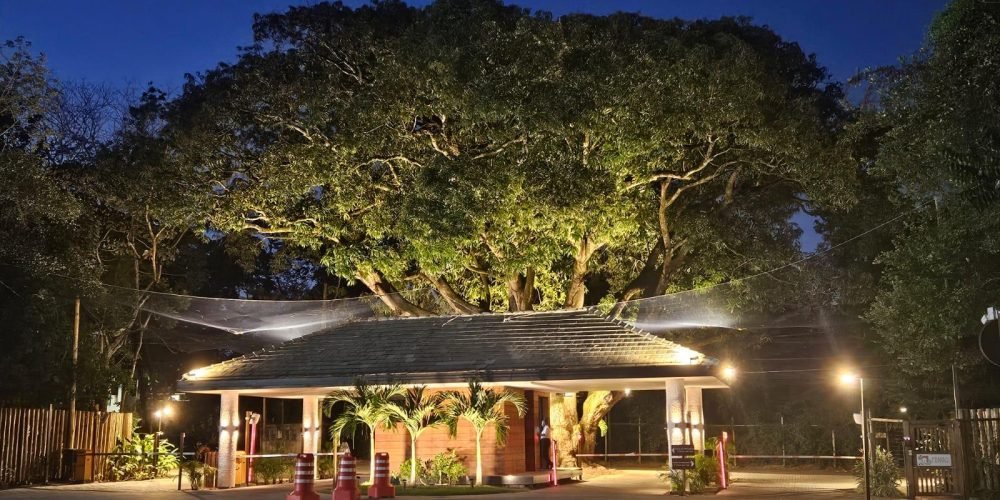 WhatsApp Image 2026-04-09 at 10.36.12 (1)